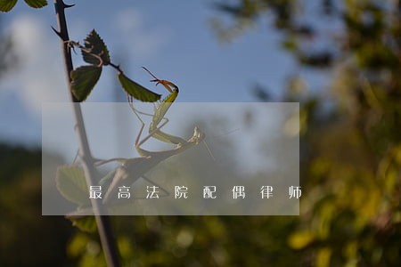 最高法院配偶律师 最高法院配偶律师
