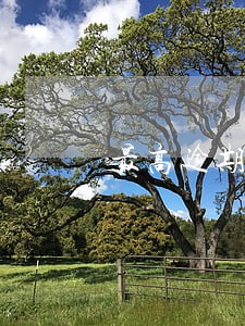 最高逾期利息是多少钱 最高逾期利息是多少钱