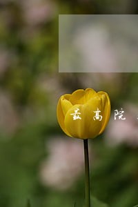 最高院关于买卖合同逾期付款批复 最高院关于买卖合同逾期付款批复