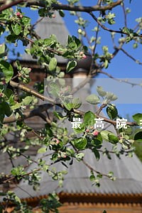 最高院关于交通事故诉讼时效 最高院关于交通事故诉讼时效