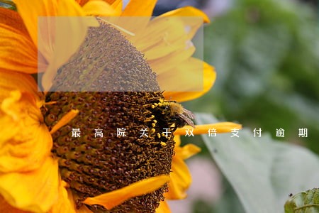最高院关于双倍支付逾期利息 最高院关于双倍支付逾期利息