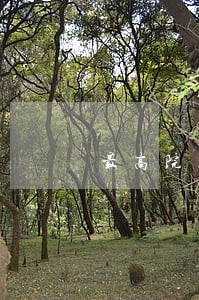 最高院关于司法强拆 最高院关于司法强拆