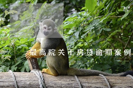 最高院关于房贷逾期案例 最高院关于房贷逾期案例