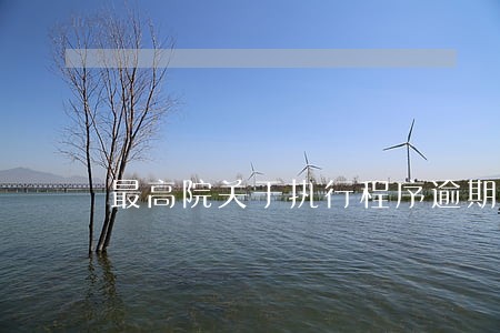 最高院关于执行程序逾期还款 最高院关于执行程序逾期还款