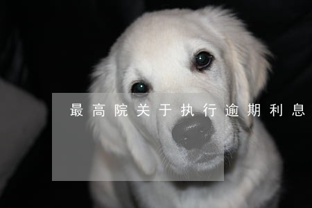 最高院关于执行逾期利息 最高院关于执行逾期利息