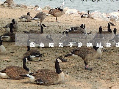 最高院关于逾期付款违约 最高院关于逾期付款违约