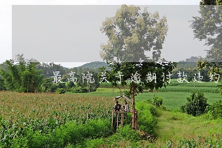 最高院关于逾期付款违约金如何 最高院关于逾期付款违约金如何