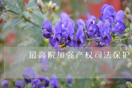 最高院加强产权司法保护意见 最高院加强产权司法保护意见