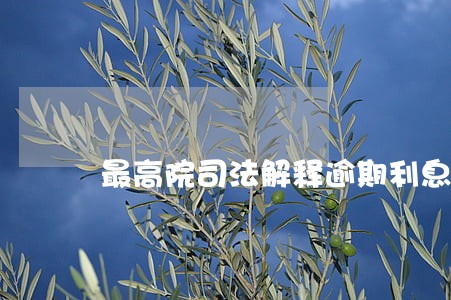 最高院司法解释逾期利息 最高院司法解释逾期利息