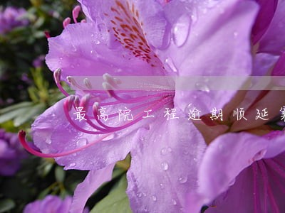 最高院工程逾期顺延案例 最高院工程逾期顺延案例