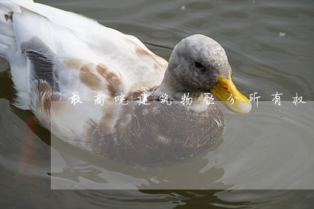 最高院建筑物区分所有权司法解释 最高院建筑物区分所有权司法解释