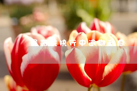 最高院执行中逾期利息 最高院执行中逾期利息