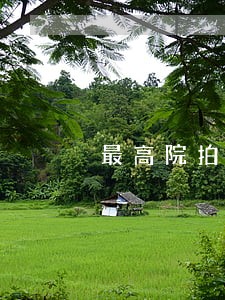 最高院拍卖逾期付款答复 最高院拍卖逾期付款答复