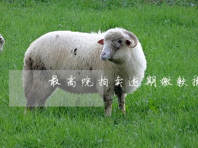 最高院拍卖逾期缴款撤销拍卖 最高院拍卖逾期缴款撤销拍卖