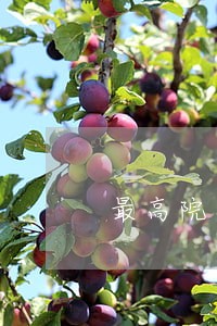 最高院民一庭关于钢材逾期付款 最高院民一庭关于钢材逾期付款