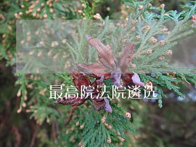 最高院法院遴选 最高院法院遴选