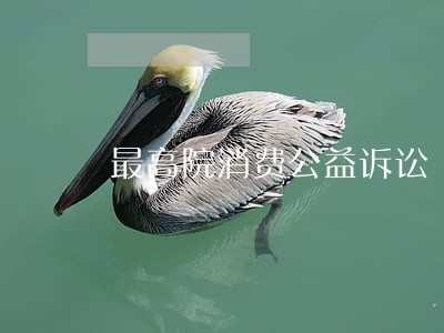 最高院消费公益诉讼 最高院消费公益诉讼
