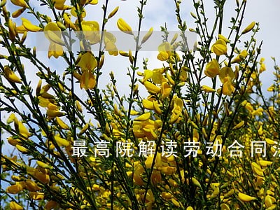 最高院解读劳动合同法 最高院解读劳动合同法