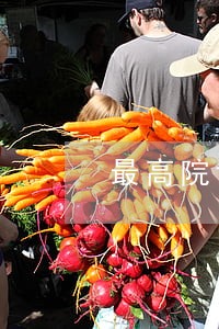 最高院诉讼服务