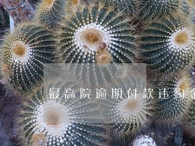 最高院逾期付款违约金回复 最高院逾期付款违约金回复