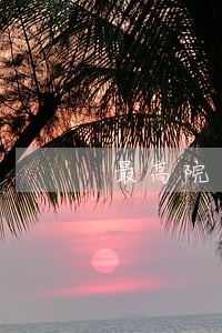 最高院逾期利息截止日 最高院逾期利息截止日