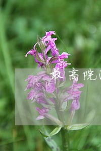 最高院逾期办证违约责任 最高院逾期办证违约责任