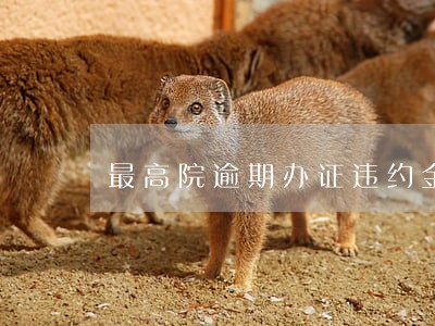 最高院逾期办证违约金过低 最高院逾期办证违约金过低