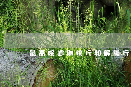 最高院逾期执行和解履行完毕 最高院逾期执行和解履行完毕