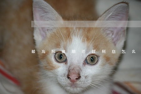 最高院逾期还款利息怎么计算 最高院逾期还款利息怎么计算