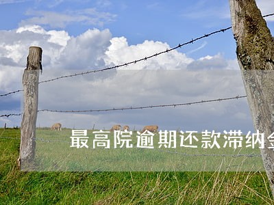 最高院逾期还款滞纳金 最高院逾期还款滞纳金