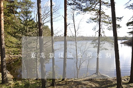 最高额保证合同逾期 最高额保证合同逾期