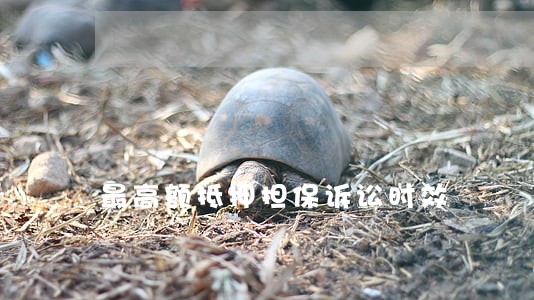 最高额抵押担保诉讼时效 最高额抵押担保诉讼时效