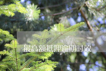 最高额抵押逾期时效 最高额抵押逾期时效