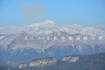 月30日前补缴逾期社保经办机 月30日前补缴逾期社保经办机