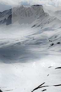 月交的保险可以逾期吗 月交的保险可以逾期吗