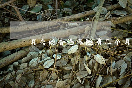 月交的香港保险有几个月宽逾期 月交的香港保险有几个月宽逾期