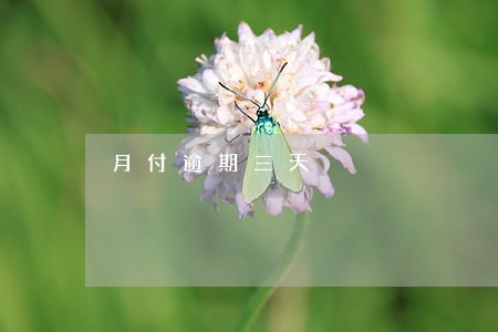 月付逾期三天 月付逾期三天