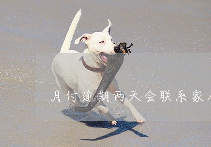 月付逾期两天会联系家人吗 月付逾期两天会联系家人吗