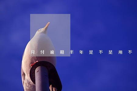 月付逾期半年是不是用不了了 月付逾期半年是不是用不了了