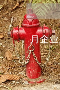 月企业所得税逾期未申报怎么办 月企业所得税逾期未申报怎么办