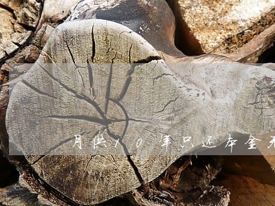 月供10年只还本金无利息 月供10年只还本金无利息