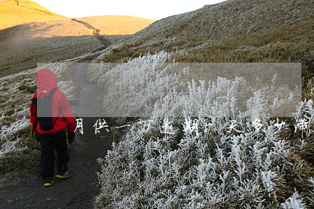 月供一万逾期5天多少滞纳金 月供一万逾期5天多少滞纳金