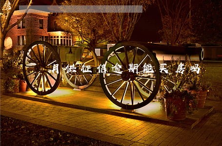 月供征信逾期能买房吗 月供征信逾期能买房吗