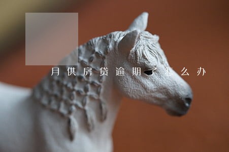 月供房贷逾期了怎么办 月供房贷逾期了怎么办