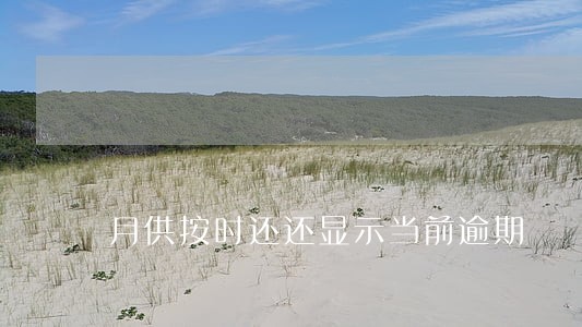 月供按时还还显示当前逾期 月供按时还还显示当前逾期