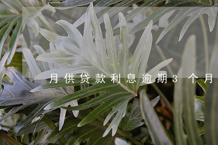 月供贷款利息逾期3个月拉黑吗 月供贷款利息逾期3个月拉黑吗