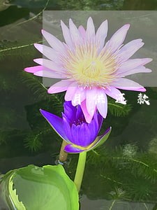 月供还款日当天几天算违约逾期 月供还款日当天几天算违约逾期