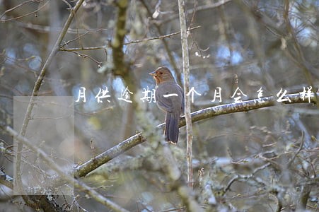月供逾期一个月会怎么样 月供逾期一个月会怎么样
