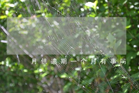 月供逾期一个月有事吗 月供逾期一个月有事吗