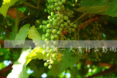 月供逾期一天有什么影响 月供逾期一天有什么影响